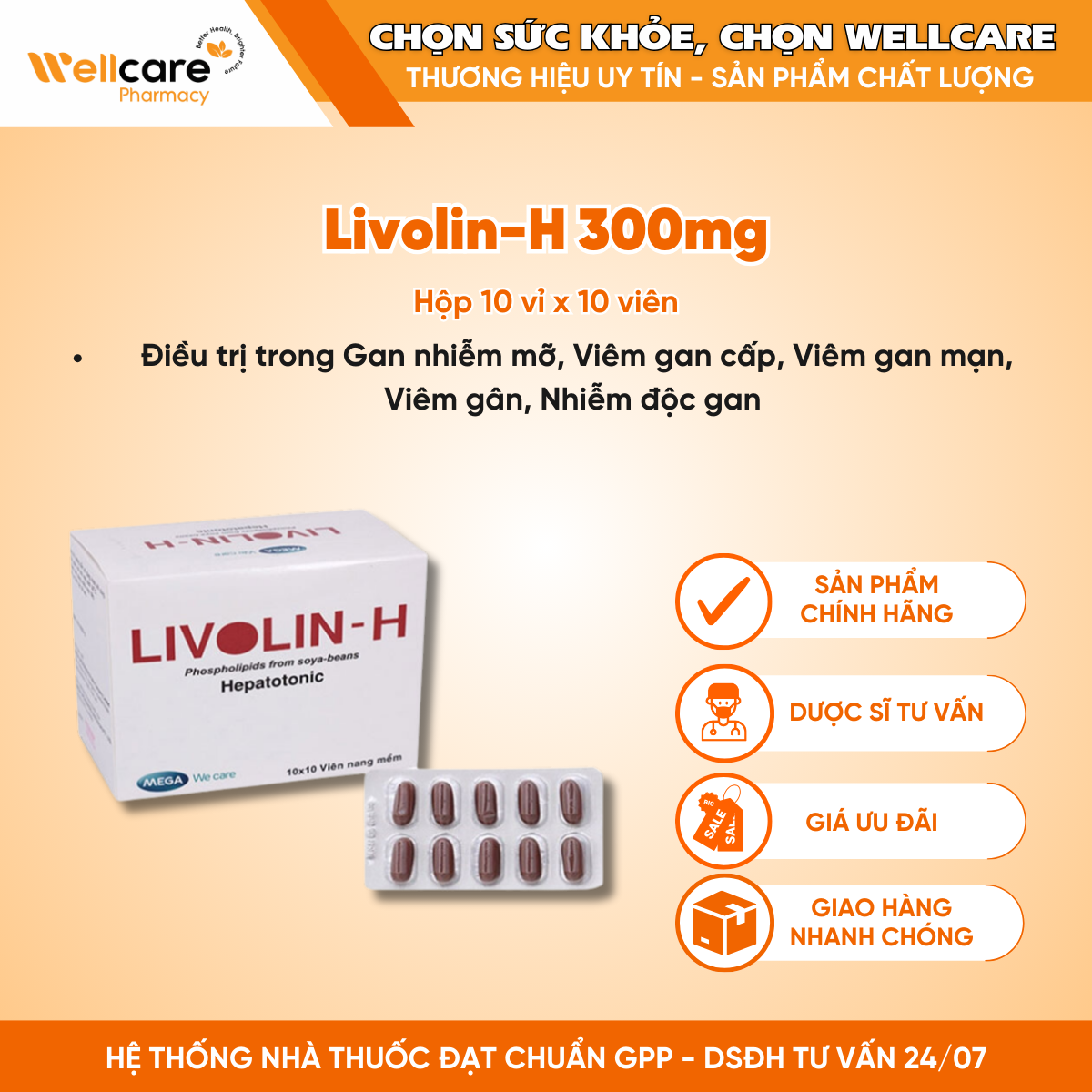 Livolin-H 300mg Mega Lifesciences – Hỗ trợ trị bệnh lý về gan (10 vỉ x 10 viên)