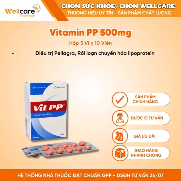 Vitamin PP 500mg