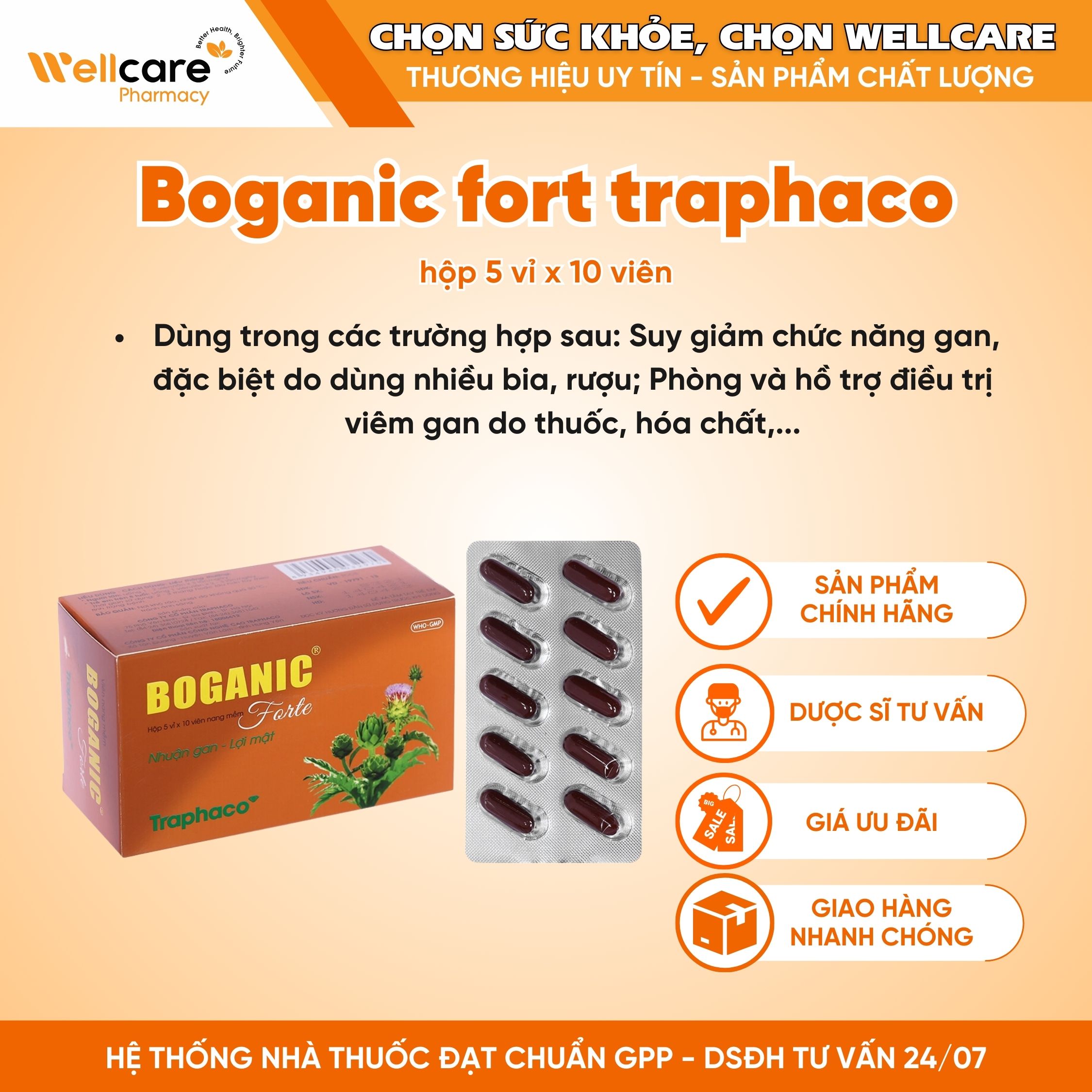 Boganic Forte Traphaco – Thuốc hỗ trợ giải độc gan (H/5vi x 10 viên)