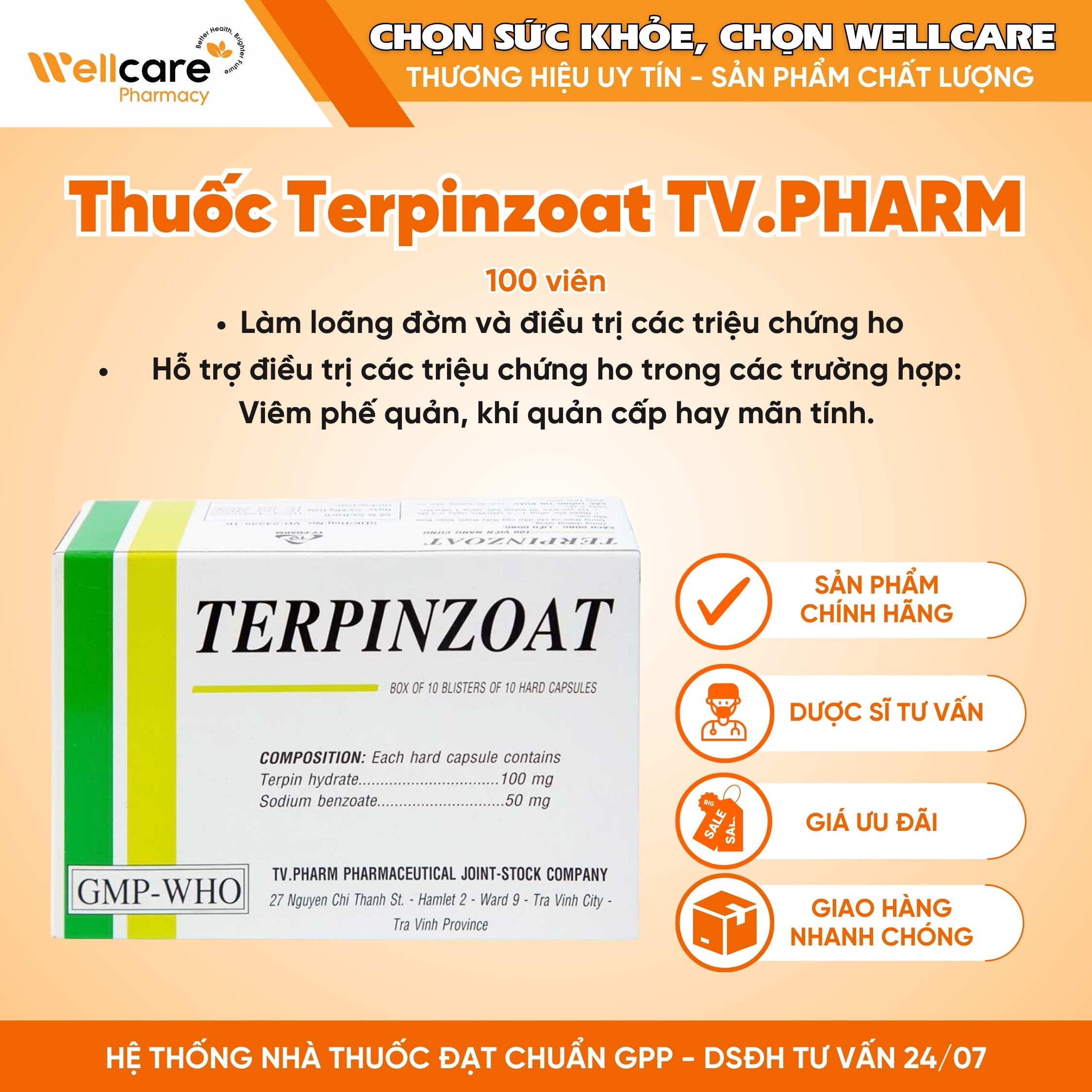 Thuốc Terpinzoat TV.PHARM – Làm loãng đờm và hỗ trợ điều trị các triệu chứng ho (Hộp 10 vỉ x 10 viên)