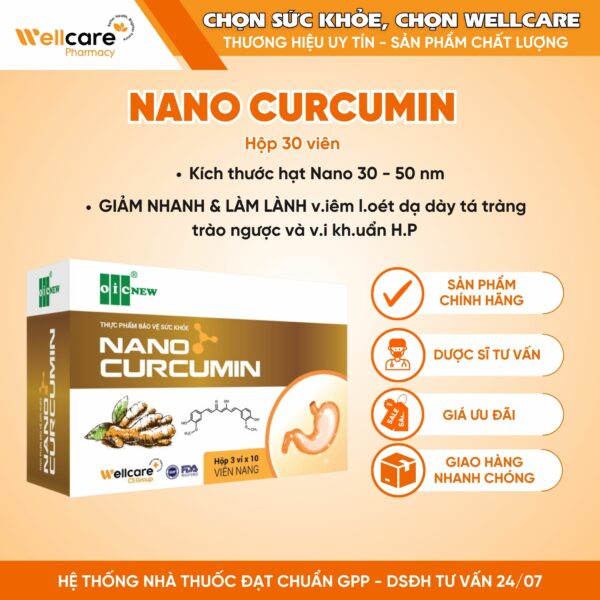 Nano curcumon 30 vi wellcare