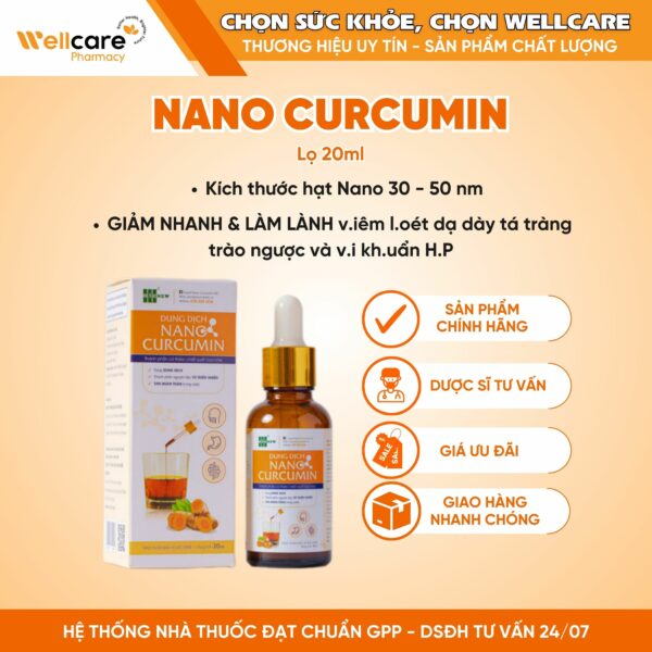 nano curcumin dd wellcare