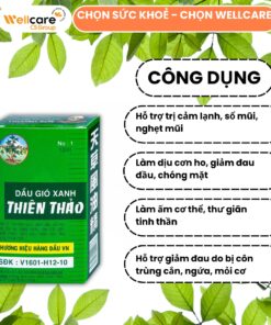 Công dụng dầu gió xanh Thiên Thảo