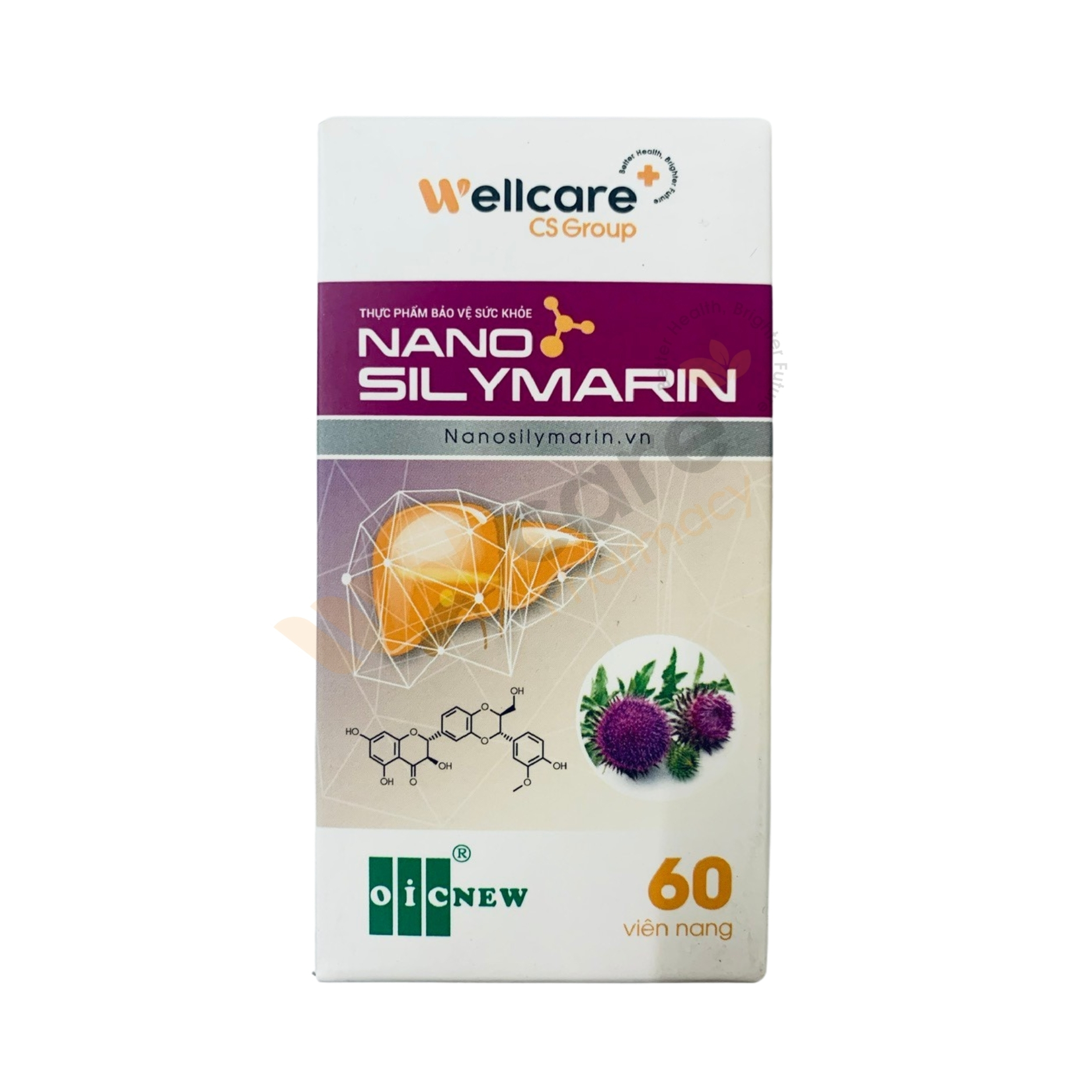 Nano Silymarin Wellcare – Hỗ trợ bảo vệ gan, tăng cường chức năng gan (Hộp 60 viên nang) - Ảnh 2
