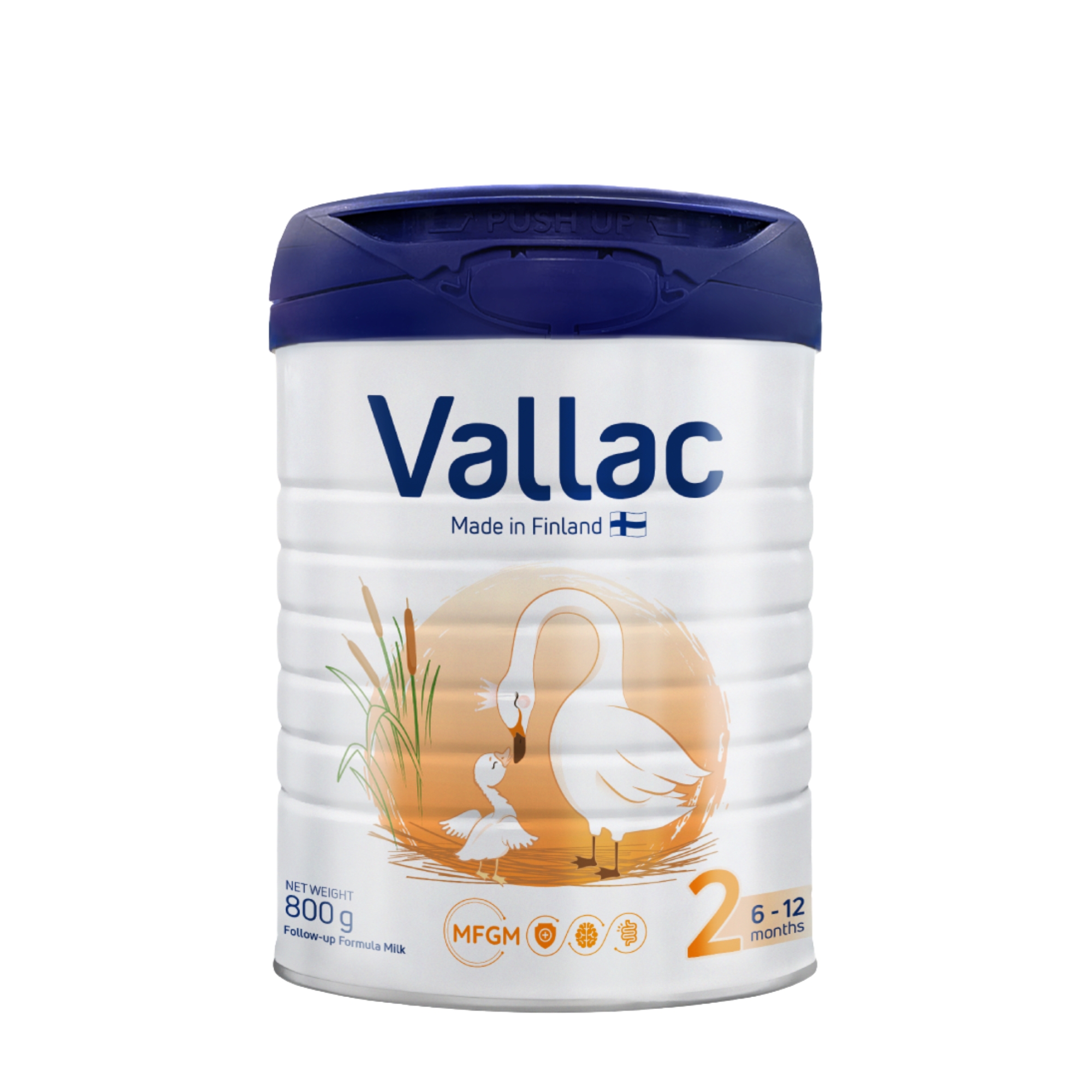 Vallac-2